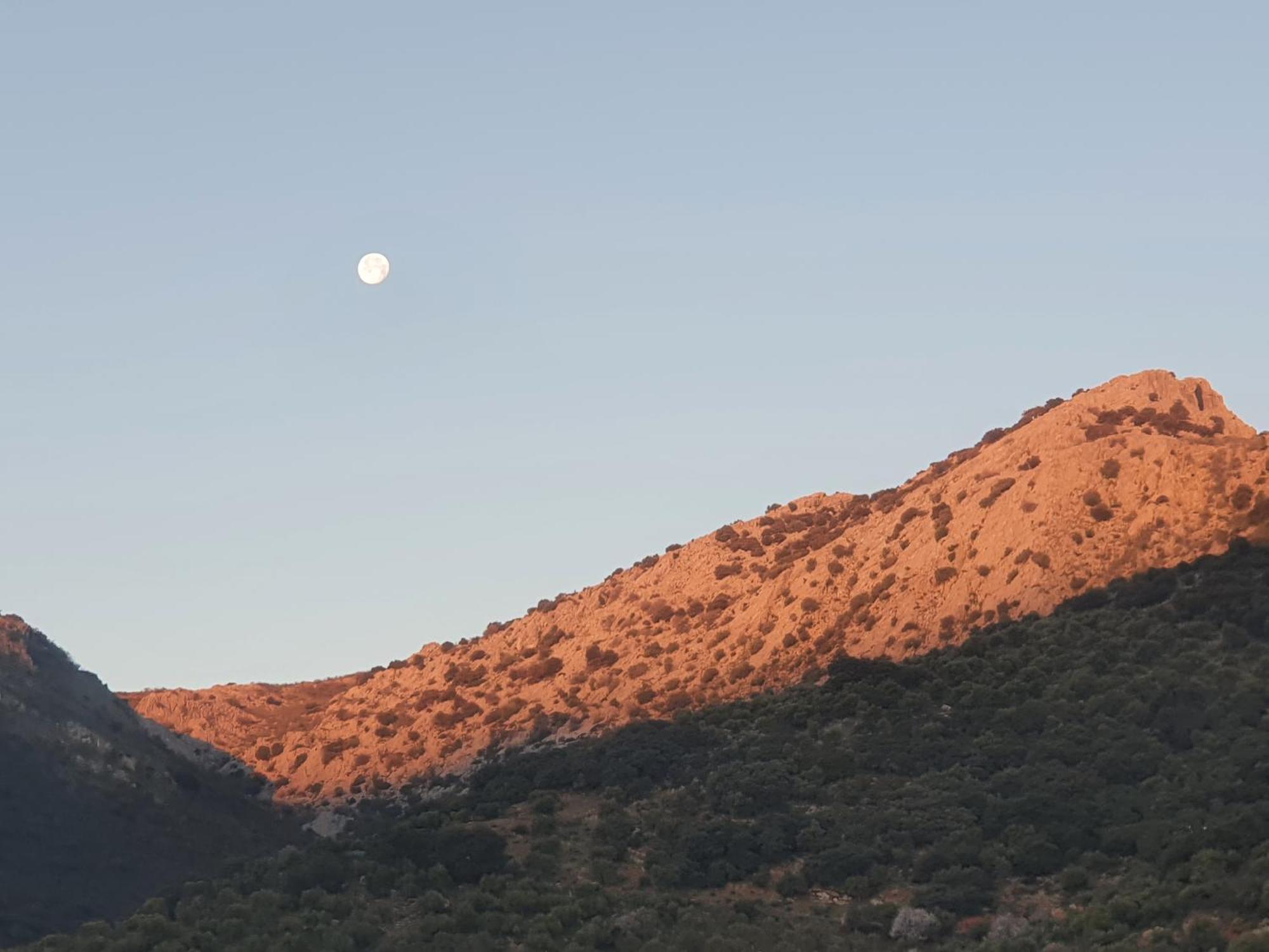 Casa Romero Cortes de la Frontera Dış mekan fotoğraf